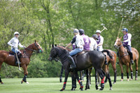 Chukkas at Brackenwood on 16.05.2012.