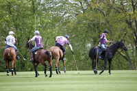 Chukkas at Brackenwood on 16.05.2012.