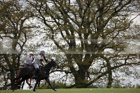 Chukkas at Brackenwood on 16.05.2012.