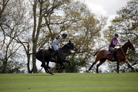 Chukkas at Brackenwood on 16.05.2012.