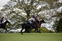 Chukkas at Brackenwood on 16.05.2012.