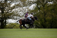 Chukkas at Brackenwood on 16.05.2012.