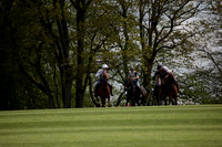 Chukkas at Brackenwood on 16.05.2012.