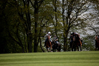 Chukkas at Brackenwood on 16.05.2012.
