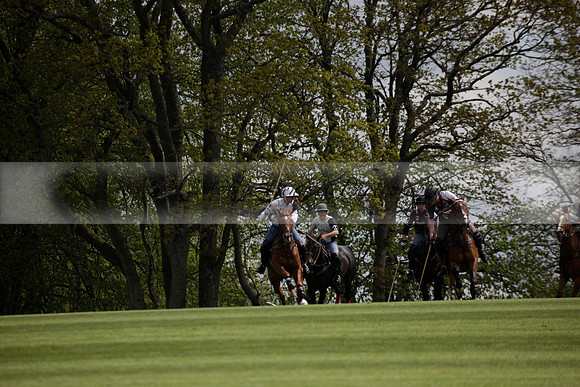 Chukkas at Brackenwood on 16.05.2012.