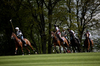 Chukkas at Brackenwood on 16.05.2012.