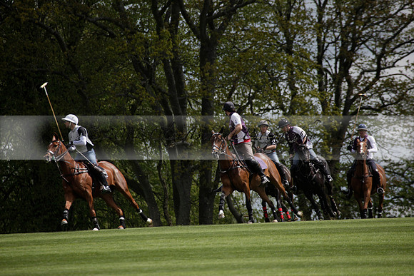 Chukkas at Brackenwood on 16.05.2012.