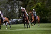 Chukkas at Brackenwood on 16.05.2012.