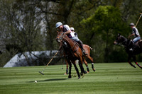 Chukkas at Brackenwood on 16.05.2012.