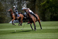 Chukkas at Brackenwood on 16.05.2012.