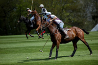 Chukkas at Brackenwood on 16.05.2012.