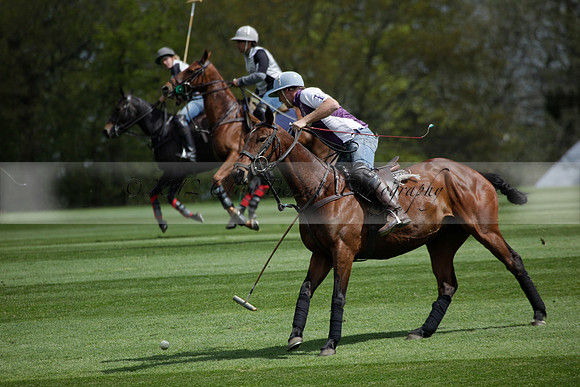 Chukkas at Brackenwood on 16.05.2012.