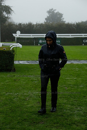 _CB_3932