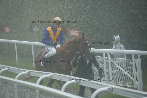 _CB_3619