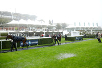 _CB_3773