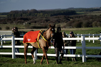 Race 4 The Botley Commercials / Spraytek Restricted Race 2025.11.30