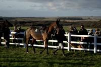 Race 6 The Equestrian Fencing & Timber Ltd Maiden Race 2025.11.30