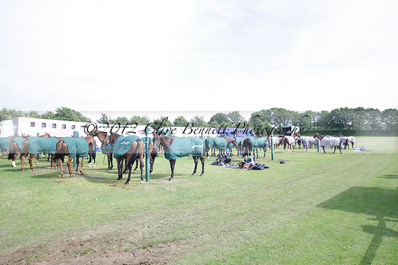Salkeld v Talandracas in a Veuve Clicquot Gold Cup polo match played on 25 June 2012 at Cowdray Park Polo Club  on Ambersham 1