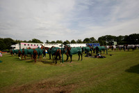 Salkeld v Talandracas in a Veuve Clicquot Gold Cup polo match played on 25 June 2012 at Cowdray Park Polo Club  on Ambersham 1