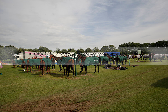 Salkeld v Talandracas in a Veuve Clicquot Gold Cup polo match played on 25 June 2012 at Cowdray Park Polo Club  on Ambersham 1