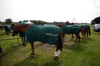 Salkeld v Talandracas in a Veuve Clicquot Gold Cup polo match played on 25 June 2012 at Cowdray Park Polo Club  on Ambersham 1