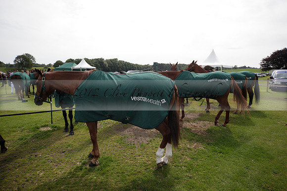 Salkeld v Talandracas in a Veuve Clicquot Gold Cup polo match played on 25 June 2012 at Cowdray Park Polo Club  on Ambersham 1