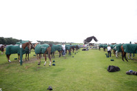 Salkeld v Talandracas in a Veuve Clicquot Gold Cup polo match played on 25 June 2012 at Cowdray Park Polo Club  on Ambersham 1