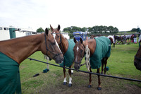 Salkeld v Talandracas in a Veuve Clicquot Gold Cup polo match played on 25 June 2012 at Cowdray Park Polo Club  on Ambersham 1