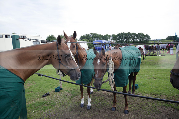 Salkeld v Talandracas in a Veuve Clicquot Gold Cup polo match played on 25 June 2012 at Cowdray Park Polo Club  on Ambersham 1
