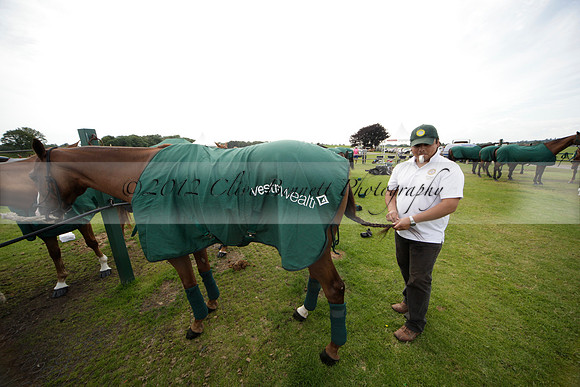 Salkeld v Talandracas in a Veuve Clicquot Gold Cup polo match played on 25 June 2012 at Cowdray Park Polo Club  on Ambersham 1