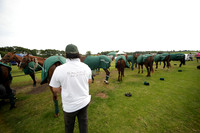 Salkeld v Talandracas in a Veuve Clicquot Gold Cup polo match played on 25 June 2012 at Cowdray Park Polo Club  on Ambersham 1