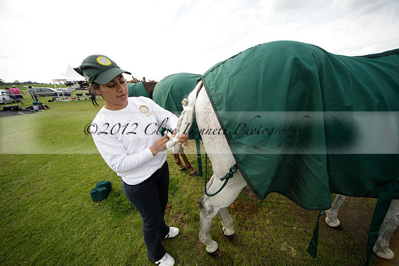 Salkeld v Talandracas in a Veuve Clicquot Gold Cup polo match played on 25 June 2012 at Cowdray Park Polo Club  on Ambersham 1