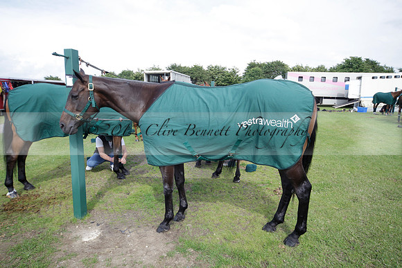 Salkeld v Talandracas in a Veuve Clicquot Gold Cup polo match played on 25 June 2012 at Cowdray Park Polo Club  on Ambersham 1