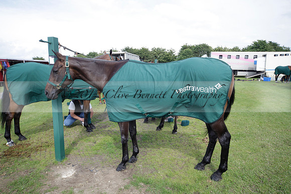 Salkeld v Talandracas in a Veuve Clicquot Gold Cup polo match played on 25 June 2012 at Cowdray Park Polo Club  on Ambersham 1