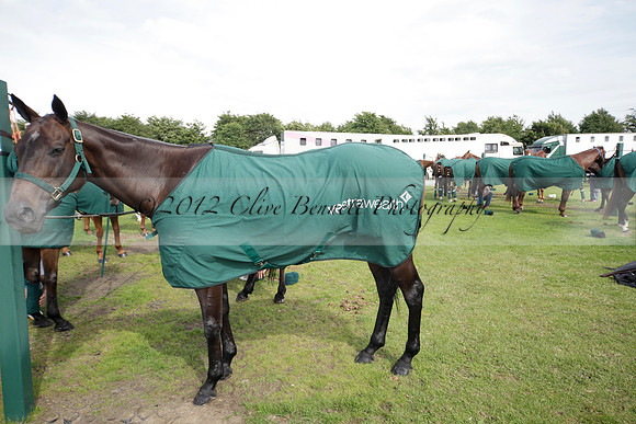 Salkeld v Talandracas in a Veuve Clicquot Gold Cup polo match played on 25 June 2012 at Cowdray Park Polo Club  on Ambersham 1