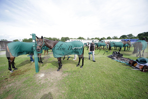 Salkeld v Talandracas in a Veuve Clicquot Gold Cup polo match played on 25 June 2012 at Cowdray Park Polo Club  on Ambersham 1