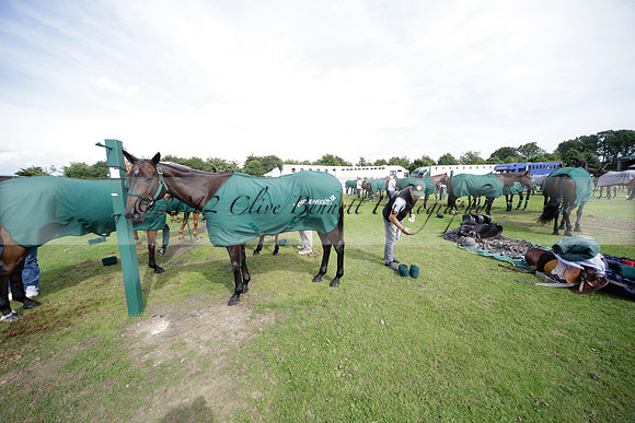 Salkeld v Talandracas in a Veuve Clicquot Gold Cup polo match played on 25 June 2012 at Cowdray Park Polo Club  on Ambersham 1