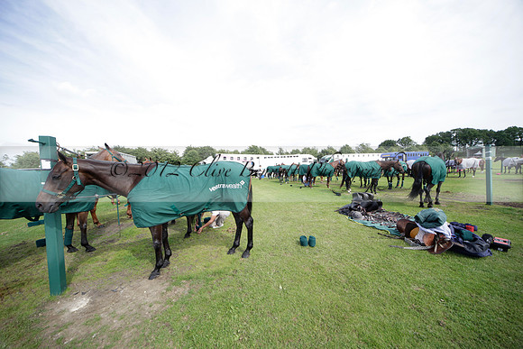 Salkeld v Talandracas in a Veuve Clicquot Gold Cup polo match played on 25 June 2012 at Cowdray Park Polo Club  on Ambersham 1
