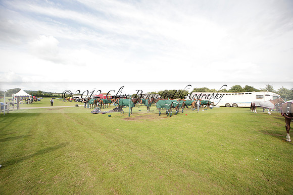 Salkeld v Talandracas in a Veuve Clicquot Gold Cup polo match played on 25 June 2012 at Cowdray Park Polo Club  on Ambersham 1
