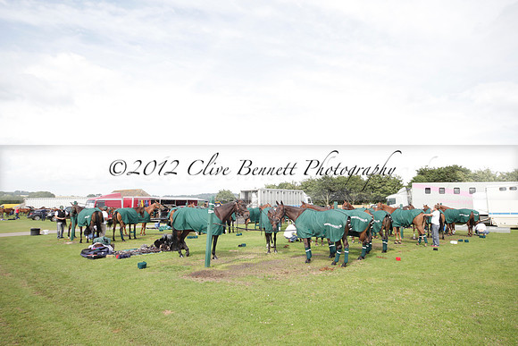 Salkeld v Talandracas in a Veuve Clicquot Gold Cup polo match played on 25 June 2012 at Cowdray Park Polo Club  on Ambersham 1