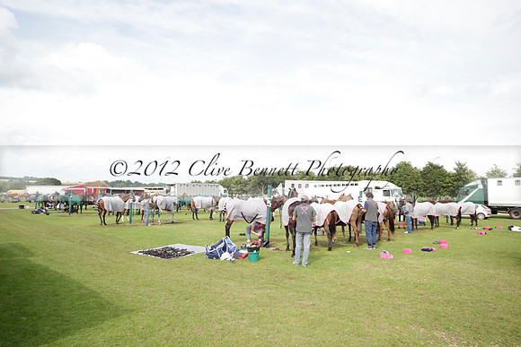 Salkeld v Talandracas in a Veuve Clicquot Gold Cup polo match played on 25 June 2012 at Cowdray Park Polo Club  on Ambersham 1
