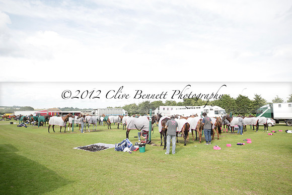 Salkeld v Talandracas in a Veuve Clicquot Gold Cup polo match played on 25 June 2012 at Cowdray Park Polo Club  on Ambersham 1