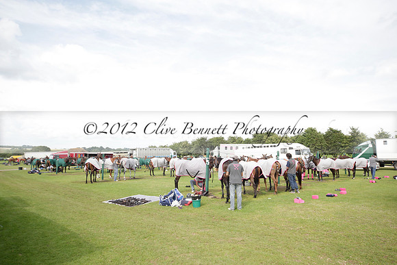 Salkeld v Talandracas in a Veuve Clicquot Gold Cup polo match played on 25 June 2012 at Cowdray Park Polo Club  on Ambersham 1