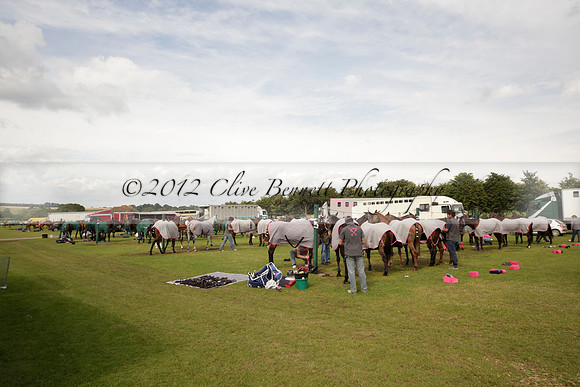 Salkeld v Talandracas in a Veuve Clicquot Gold Cup polo match played on 25 June 2012 at Cowdray Park Polo Club  on Ambersham 1
