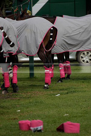 Salkeld v Talandracas in a Veuve Clicquot Gold Cup polo match played on 25 June 2012 at Cowdray Park Polo Club  on Ambersham 1