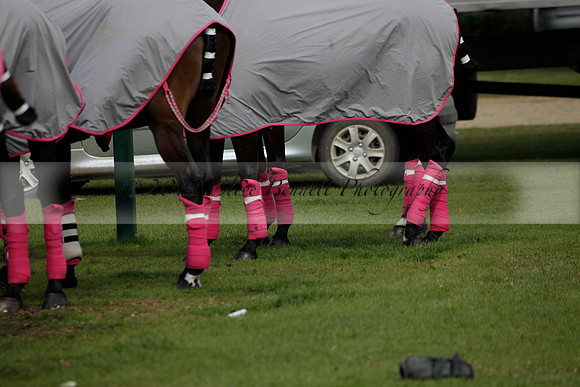 Salkeld v Talandracas in a Veuve Clicquot Gold Cup polo match played on 25 June 2012 at Cowdray Park Polo Club  on Ambersham 1