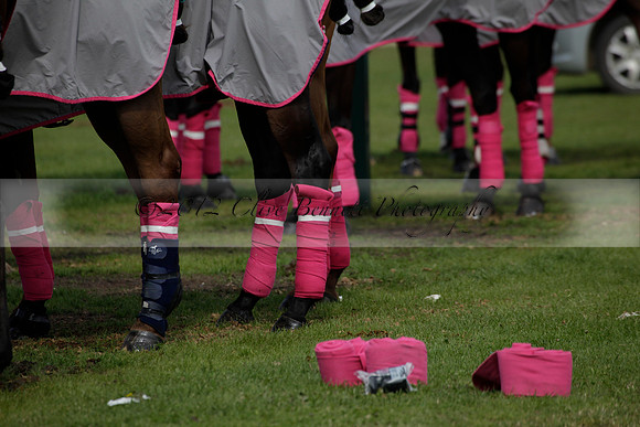 Salkeld v Talandracas in a Veuve Clicquot Gold Cup polo match played on 25 June 2012 at Cowdray Park Polo Club  on Ambersham 1