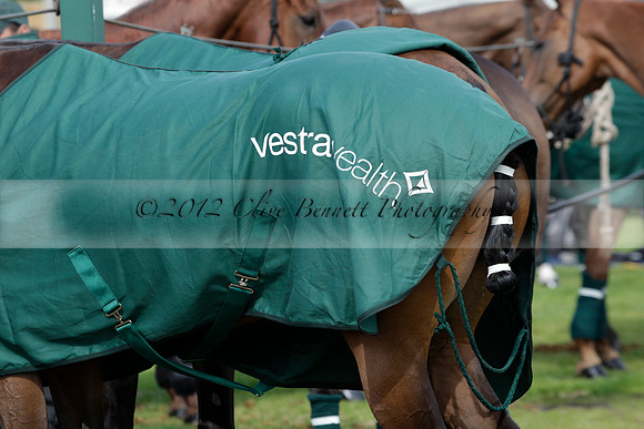 Salkeld v Talandracas in a Veuve Clicquot Gold Cup polo match played on 25 June 2012 at Cowdray Park Polo Club  on Ambersham 1