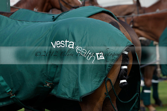 Salkeld v Talandracas in a Veuve Clicquot Gold Cup polo match played on 25 June 2012 at Cowdray Park Polo Club  on Ambersham 1