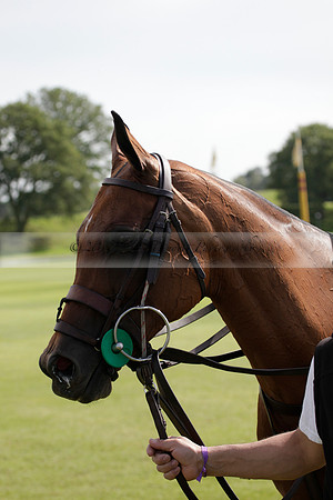 Salkeld v Talandracas in a Veuve Clicquot Gold Cup polo match played on 25 June 2012 at Cowdray Park Polo Club  on Ambersham 1